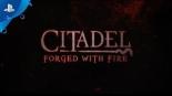 Citadel: Forged With Fire (2019)